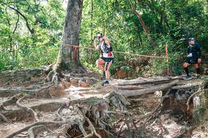 BIB: 
                            <button type="button" onclick="openModal(27721695)" class="btn btn-primary btn-sm float-right btn-popup" data-toggle="modal" data-target=".modal-high-quality">
                        <i class="fas fa-shopping-cart"></i> Add to Cart
                    </button>
                                            <button type="button" onclick="isThisMe(27721695, true)" class="btn btn-success btn-sm float-right btn-popup btn-isme hidden" data-toggle="tooltip" data-placement="bottom" title="นี่คือรูปของคุณใช่ไหม คลิกที่นี่เพื่อเอาเข้าอัลบั้ม">
                        <i class="fas fa-plus"></i> Add to album
                    </button>
                    <button type="button" onclick="isThisMe(27721695, false)" class="btn btn-warning btn-sm float-right btn-popup btn-isnotme hidden">
                        <i class="fas fa-ban"></i> Remove from album
                    </button>